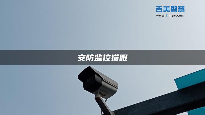 上海安防市场，监控摄像头品牌排名背后的真实逻辑